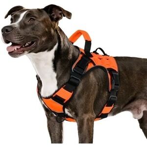 Orange Tactical Dog Harness for Medium Dogs, Heavy Duty No Pull Dog Harness